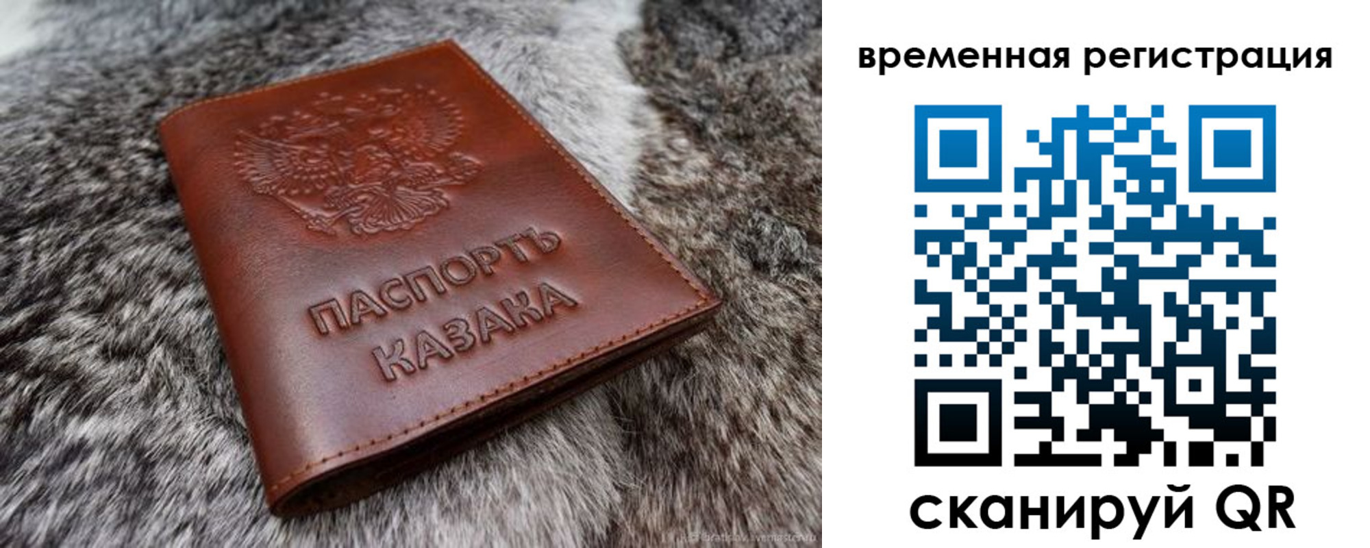 прописка 2025 в Данилове